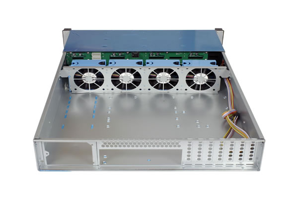 Characteristics Of Vietnam’s Native IP And Its Application In The Market